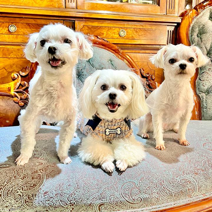 1b147788 27a2 4c99 9acd e40cbbc9c6b4 1675243262336