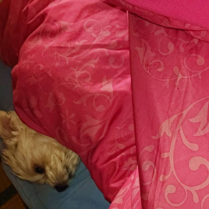 1b14c42c 7dac 4625 9c2d cdfbca08e574 1555019998517