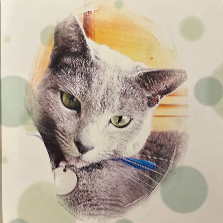 1b14daa8 e3f5 4010 80d7 dbe8632563b0 1729924973883