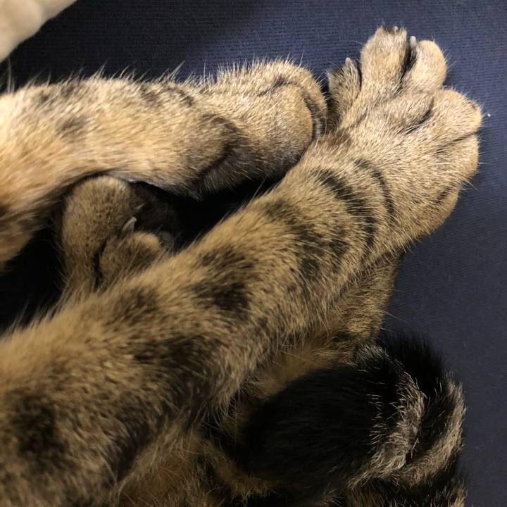 1b161203 830e 4c86 9252 6493ac607155 1532202907678