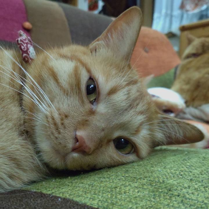 1b16294a 3873 4612 aa29 18f4b004874c 1634106592889