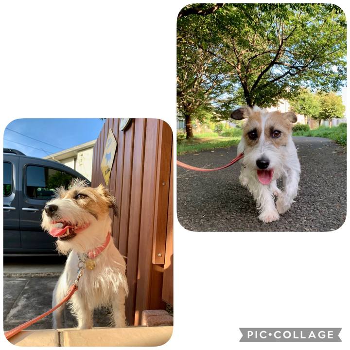 1b163282 b658 45ad b312 81b95ae56ba2 1627963761507