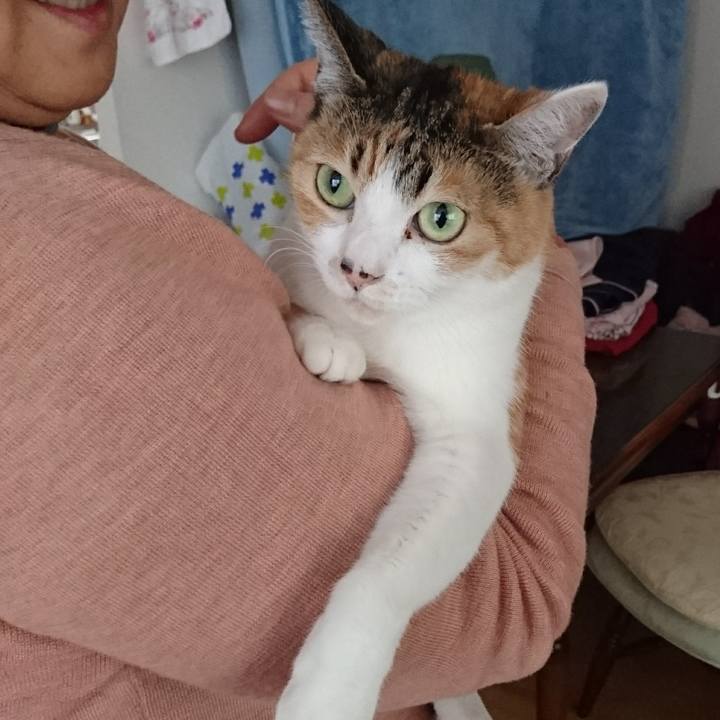 1b16698f a831 439c adf1 0a4c71fa7996 1546134504542