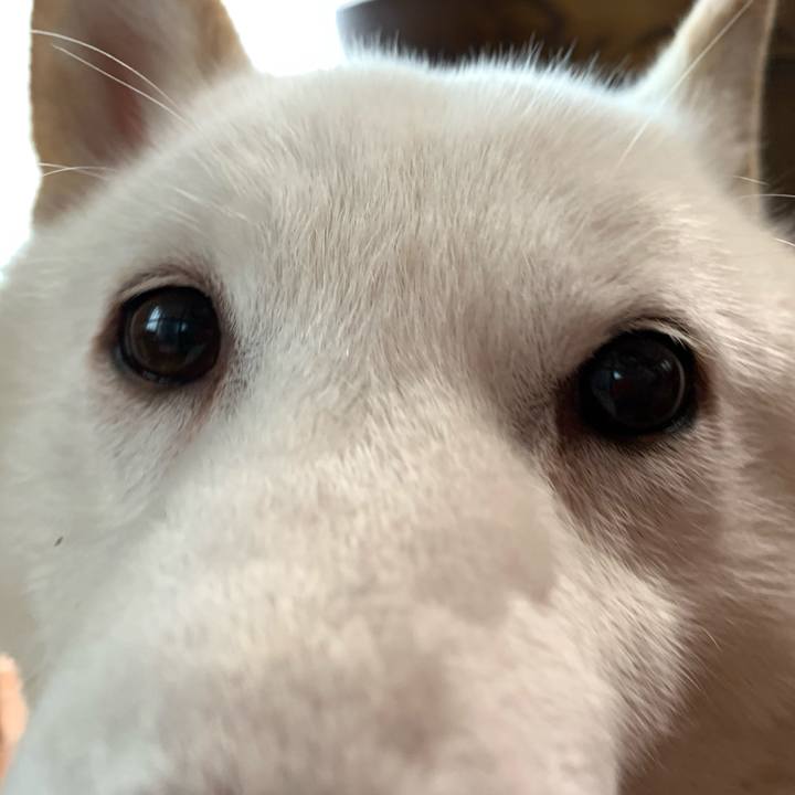 1b166992 a85c 4ce6 952c a1239c1d8afb 1607731747074