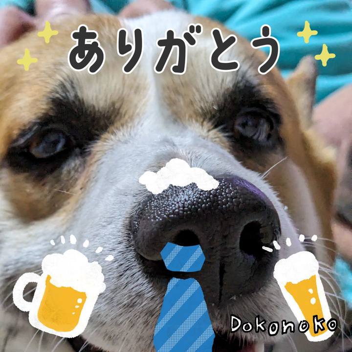 1b16b9c4 9205 49a9 87f4 f0ae1a6e32a8 1718338913647