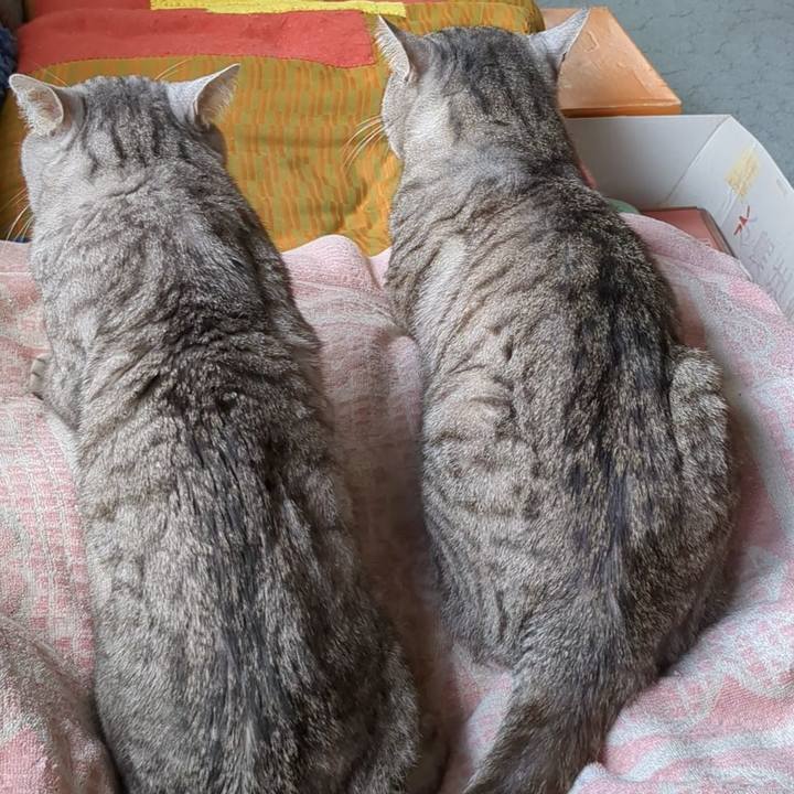 1b16bb7c 6a18 4e4c b9bc cfda8b6ad4d8 1713498098398