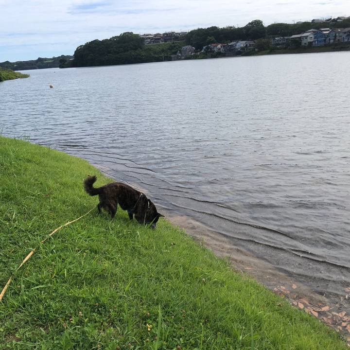 1b16d10a a315 4fc8 a496 80e5e068bb81 1690854649943