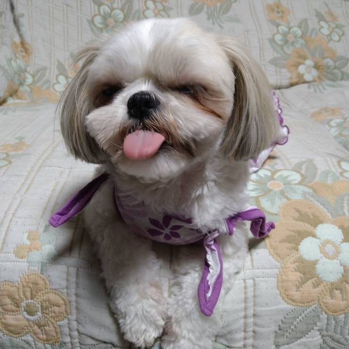 1b16d260 b3a0 48a5 86fd a8e8e5f141f8 1630280512598