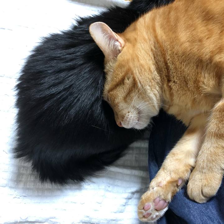 1b16ee94 f9b7 43fd 89f5 71afefe15676 1633520986587