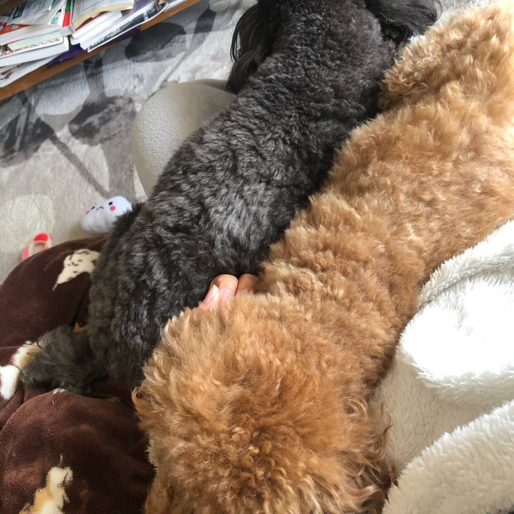 1b171435 8b3a 46d5 bcfa 6e089a8f2f87 1586577283010