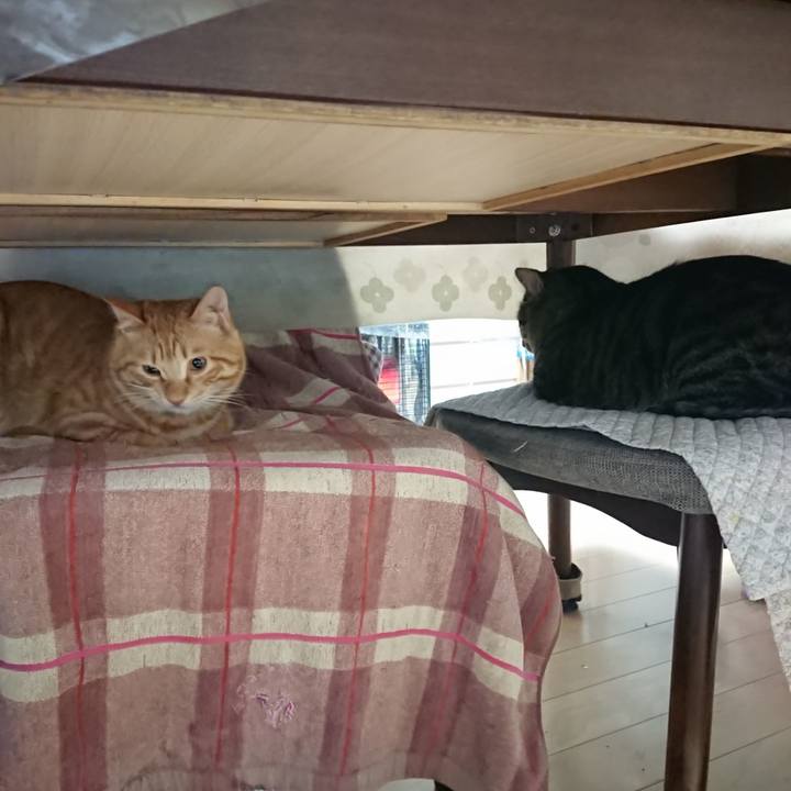 1b175c69 8039 431c 9640 0eb4a2919e38 1644443314737