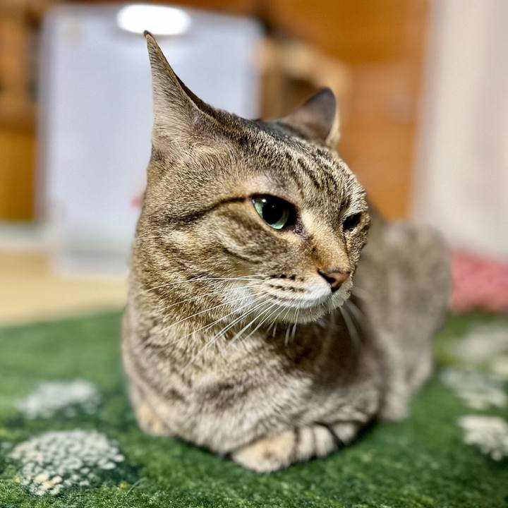 1b177085 c9a6 4814 8c2b b362f0d2b78d 1687348585578