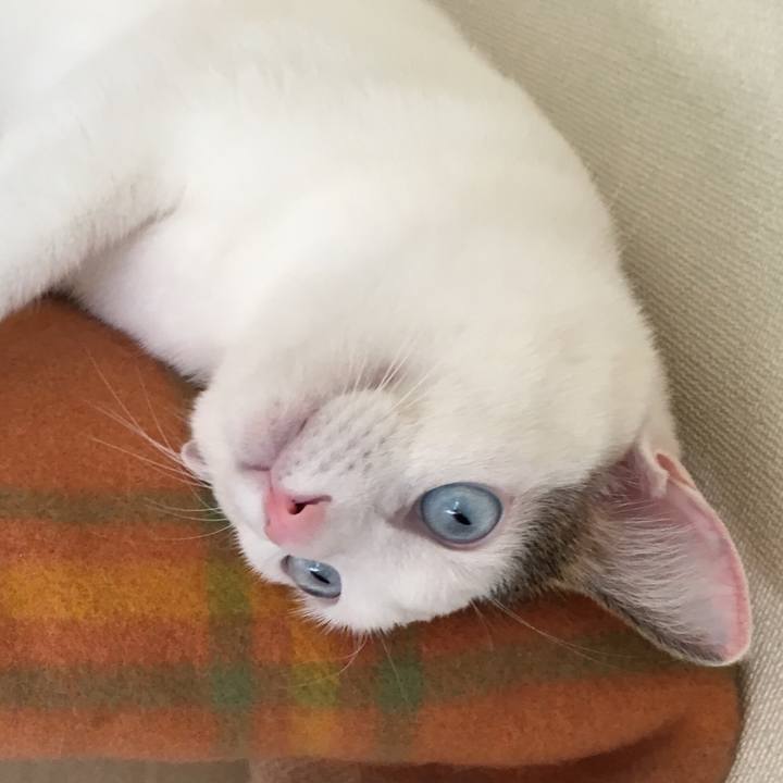 1b179519 3fac 4574 bbe4 0cd3677e53e0 1513574931441