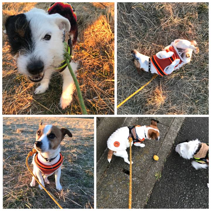 1b17d71a fda2 494f 8aa1 9ab44a9df917 1515658500910