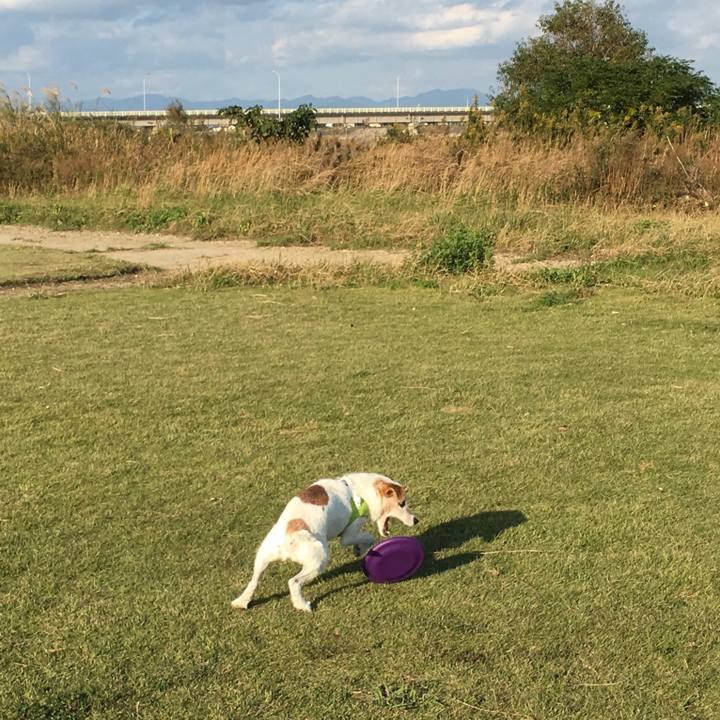 1b1811b7 6723 4115 aa71 f9f08e3a87c5 1509869634561