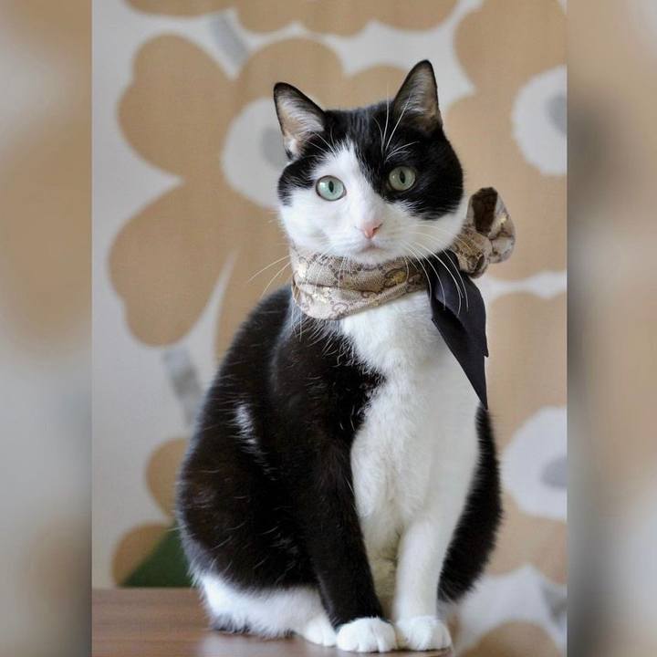 1b18142a 0ced 4f45 ad85 5018c714d816 1680038852573