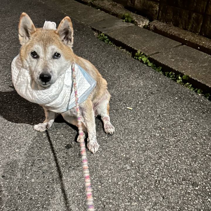 1b1840c2 25df 44bc 9231 5ef99248fbc9 1764409053099