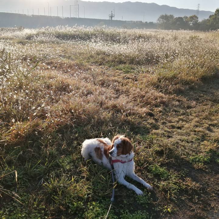 1b184457 1ef4 4aae 8377 b68821422bb2 1573348853293