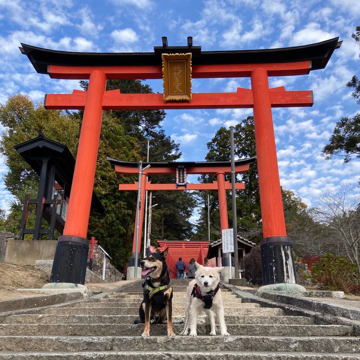 1b189aab 8932 4a95 8545 ea781aeeec35 1700877746902