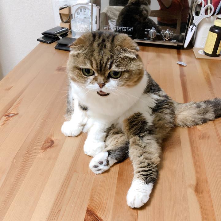 1b190217 2b36 411f b7ec aa362552e12d 1553684141494