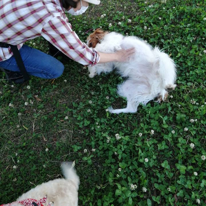 1b190e7c 83b9 4448 b674 eb5b95fc57d8 1591096518083