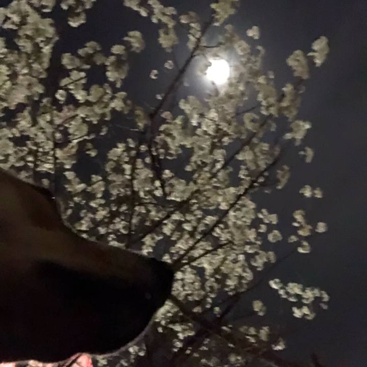 1b190fd4 431a 4947 88a4 535ee5e75b17 1583759894406