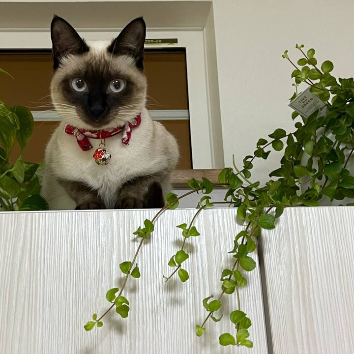 1b19139a 40a5 48cc 82db 3694db8d1e39 1704482964996