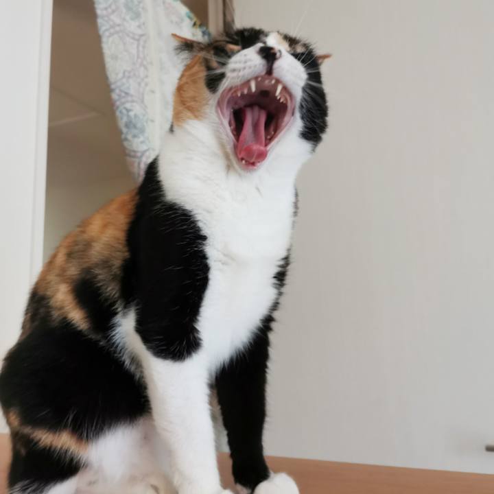 1b1914eb 9c8d 425e 9f9b 0957c0699cc3 1660017045871