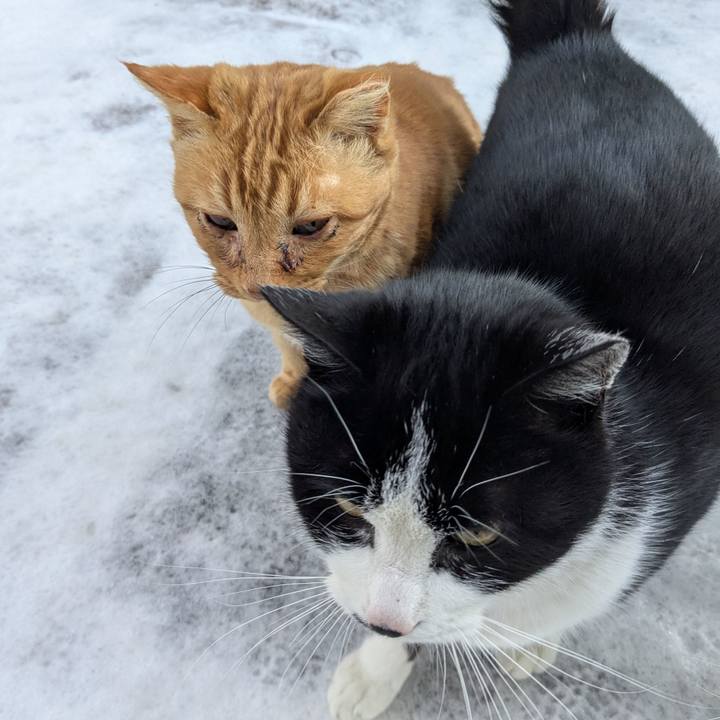 1b192014 7ae9 4973 8e42 3c41f690fdcf 1768092764407