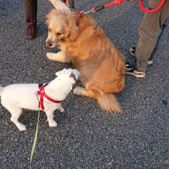 1b193219 f602 4ebe 9278 7b6b28383a89 1590447588912