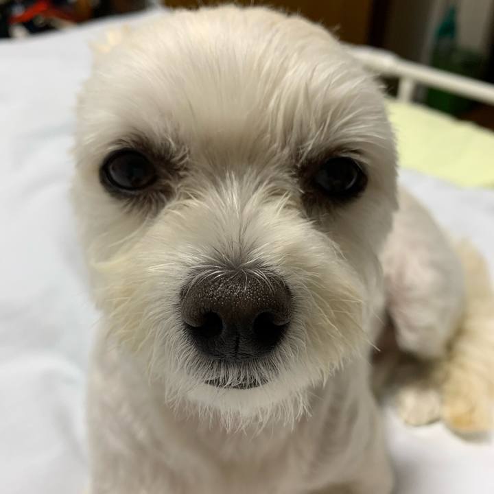 1b193b64 e2cf 494b b7d0 a4e4b6e6d022 1570973642254