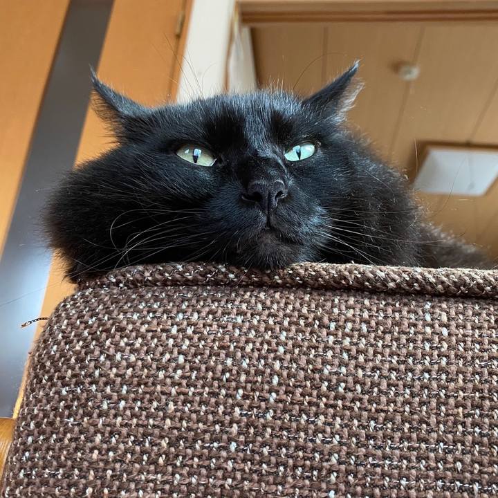 1b194619 5c70 4c3d a390 b28e20d8391d 1604751417154