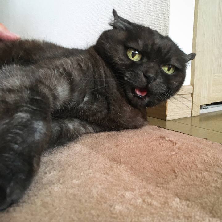 1b197cd5 7b8b 4154 9d2f 4ca1e37a3935 1588384866819