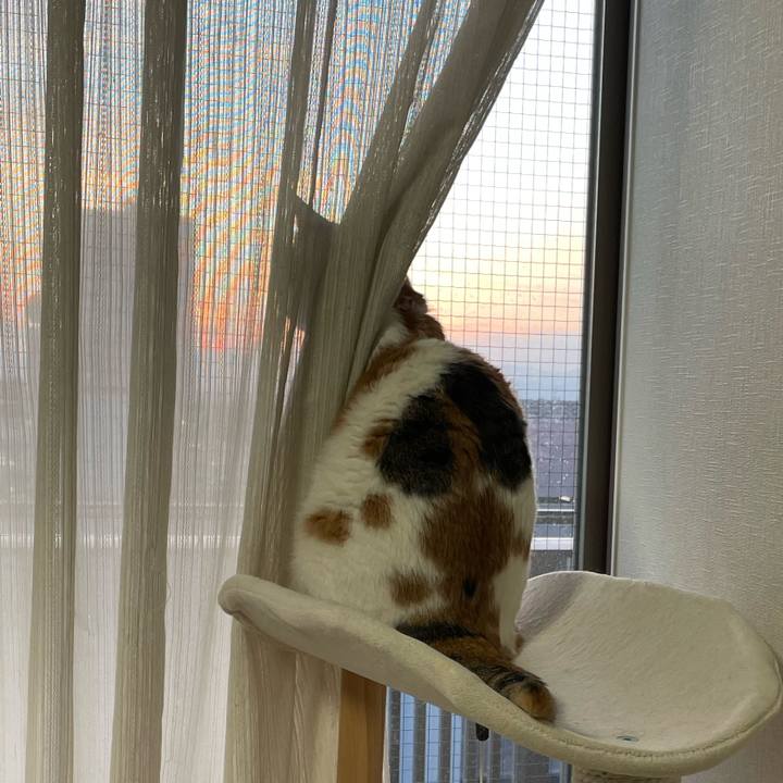 1b1996d6 b176 4814 966b a8bc56c259e5 1646045437388