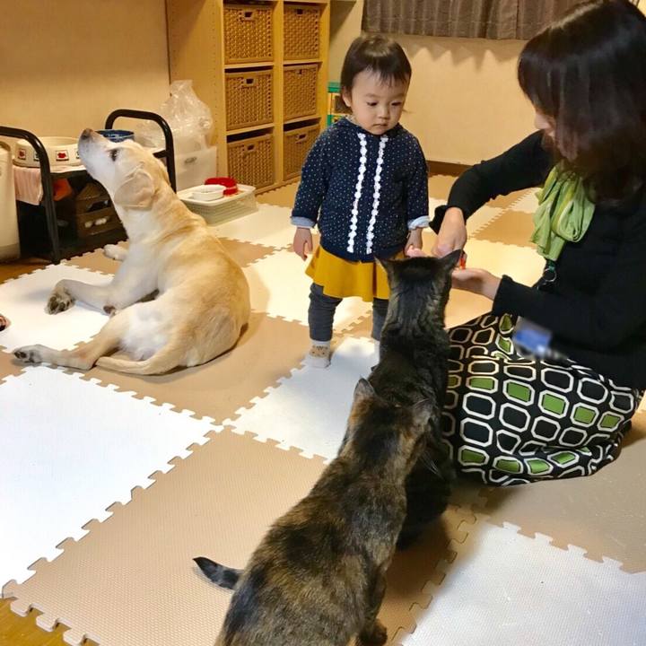 1b19b4d4 fe1a 4292 aaf0 2de166a95628 1578961837325