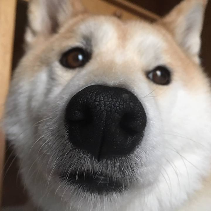 1b19cf3f 8d63 423f bd6f 2f4a08245076 1524402223357