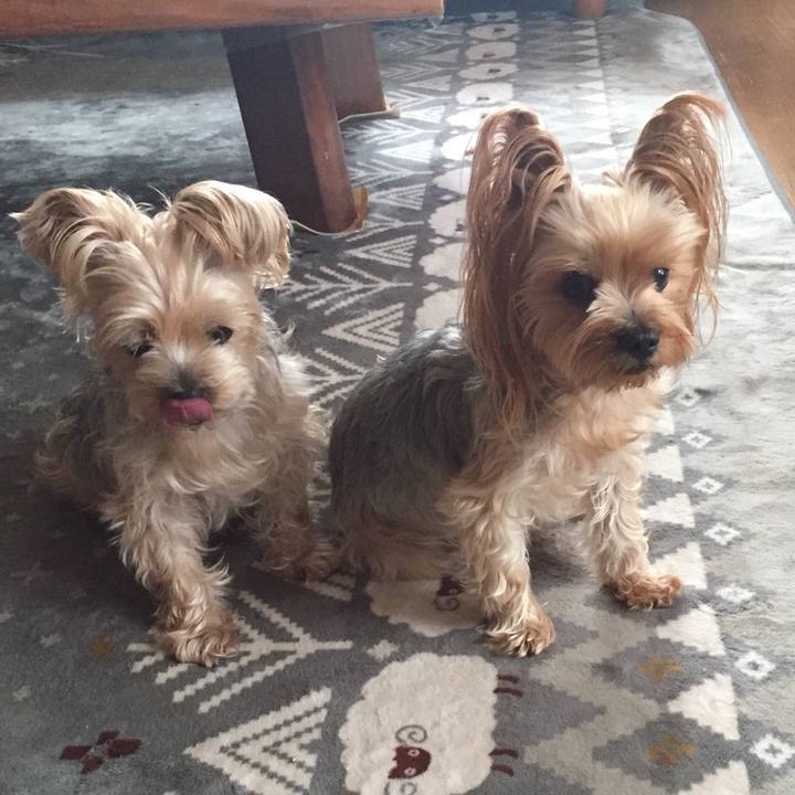 1b19dc1e 060e 4143 829b 6f42f4f82ea5 1541923591500