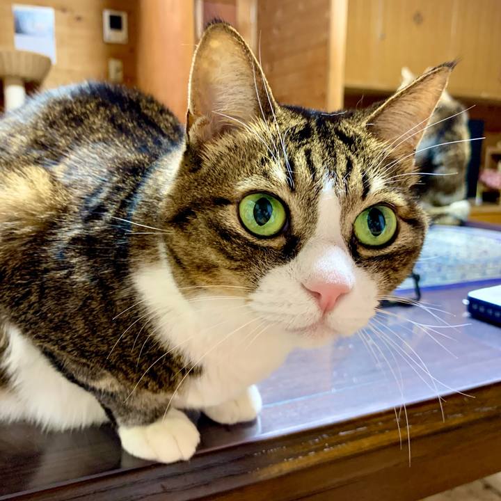 1b19e5f0 750a 412a 91de f9759171b988 1673525979744