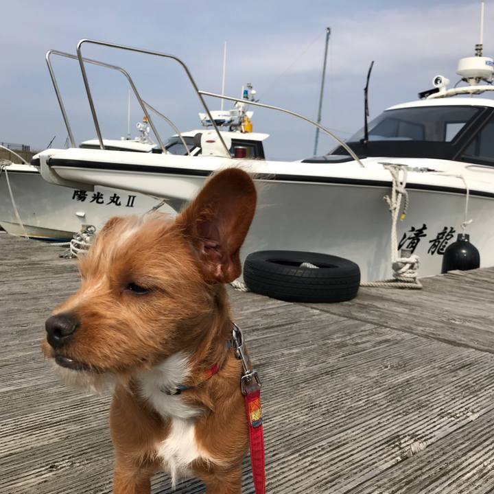 1b19fbd4 f7ea 44e9 8085 f881a5f8fdfb 1524115576695