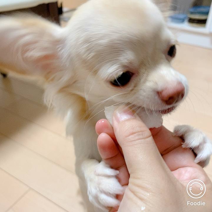 1b1a1d73 6f41 4ed5 b31a 940d7bed140f 1601882833385