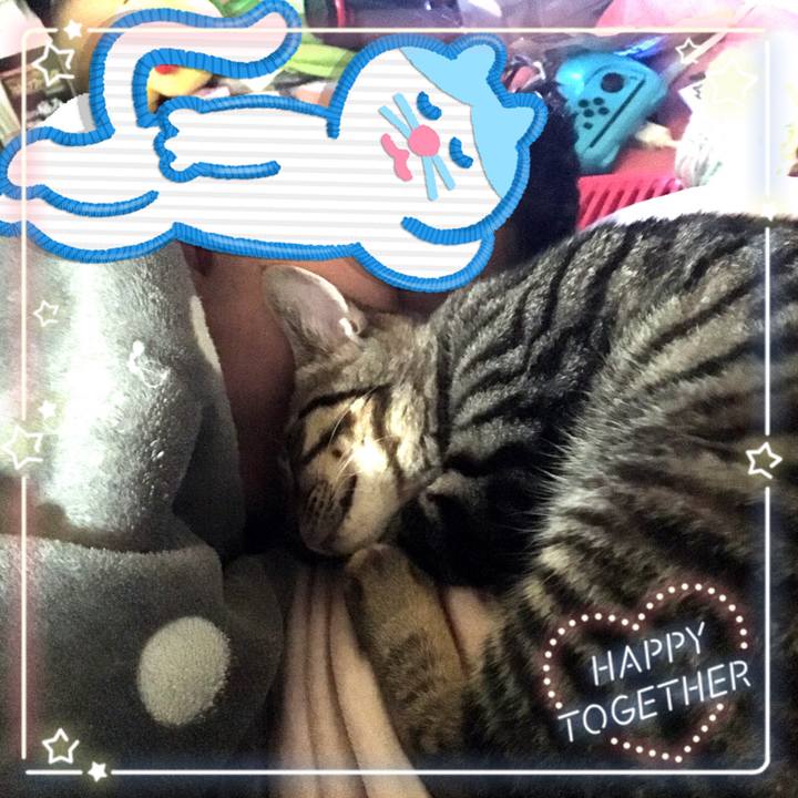 1b1a2115 68e9 43eb 8b0e 63f0d8ff690e 1541569280174