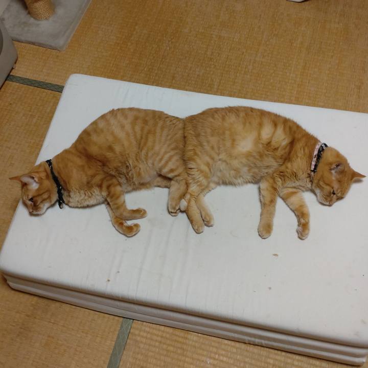 1b1a5bb0 4f93 4f15 8e9c e670f163e5f9 1666418488468