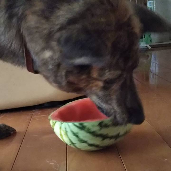 1b1a9011 0a72 436e a856 7e7cd0a47206 1533355738399