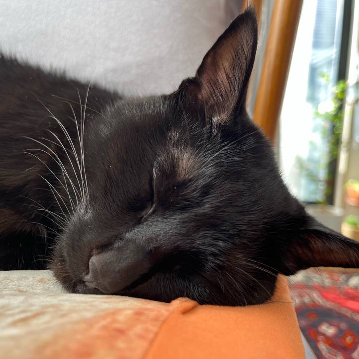 1b1a93cb a7d8 47bc 9c46 6cc937cd94b6 1673406264544