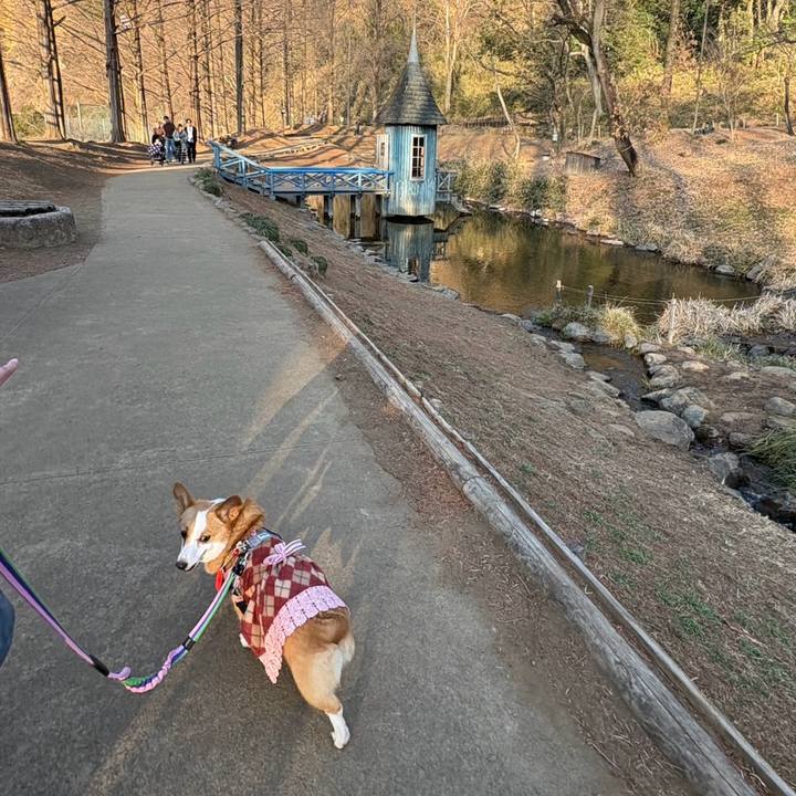 1b1a9a4f e71b 459f 969b b09f49bf3a1f 1771153690708