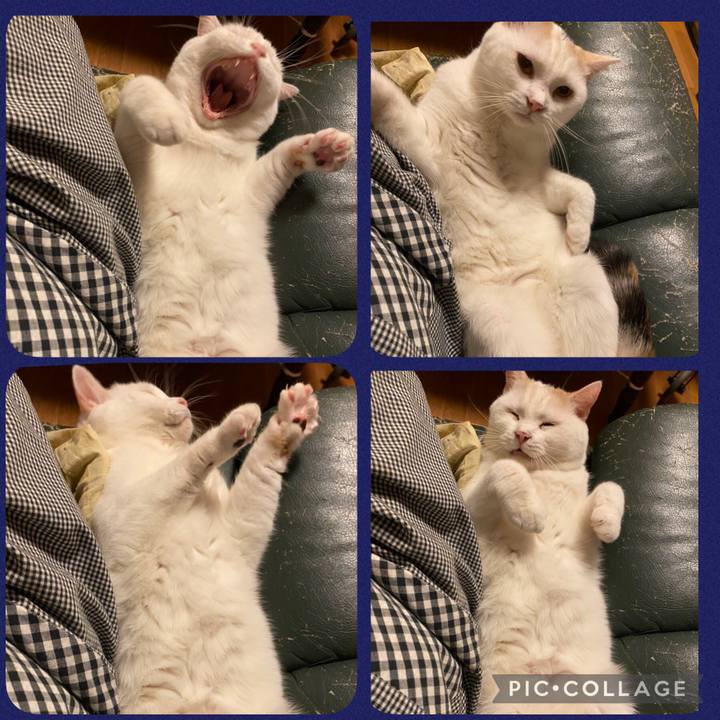 1b1ab4a5 4eba 4706 9043 177835c5ef06 1637153053819