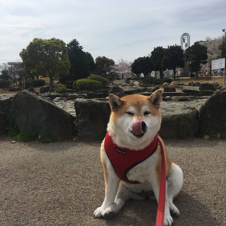 1b1aecd9 84d1 428d bd7c 731981e80ac8 1616892574744