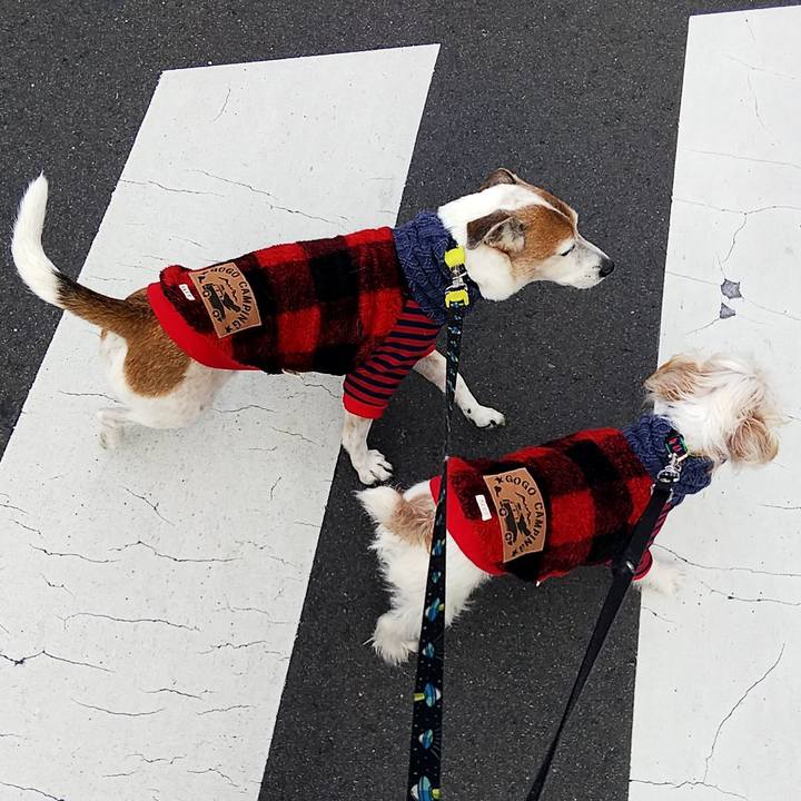 1b1b058b 63c0 4e2a 8498 59a72b47fe7e 1544331996504