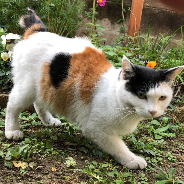 1b1b2d7f aae4 40bc 9453 33fed6750f05 1604355724136