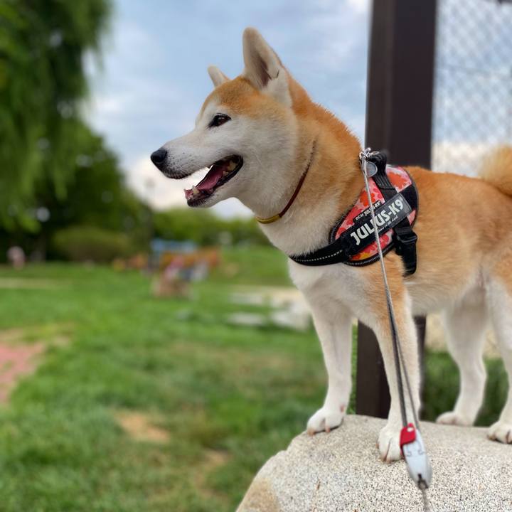 1b1b3779 bcab 4cfc 82ef c807924492df 1693474769916